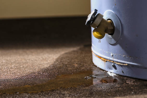 Best 24/7 water damage repair  in Boerne, TX