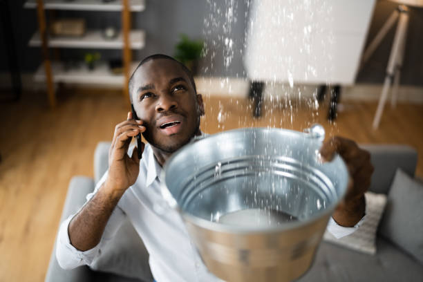 Best Professional water damage repair  in Boerne, TX