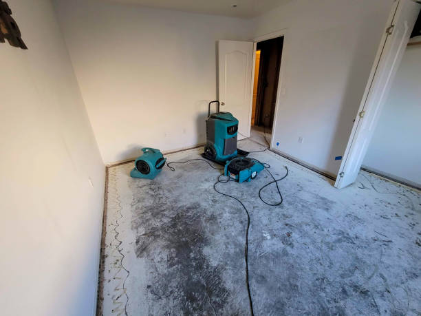Best 24-hour water damage restoration  in Boerne, TX