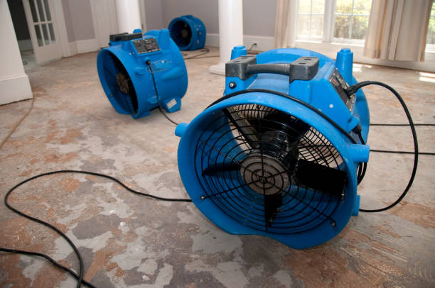 Best 24/7 water damage repair  in Boerne, TX