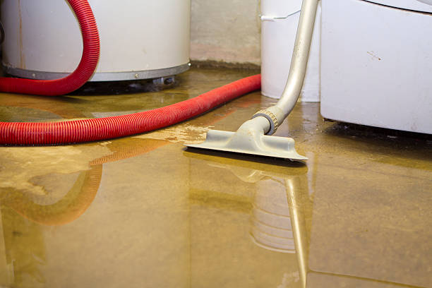 Best Local water damage restoration  in Boerne, TX