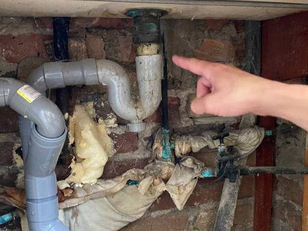 Best Water damage restoration services  in Boerne, TX