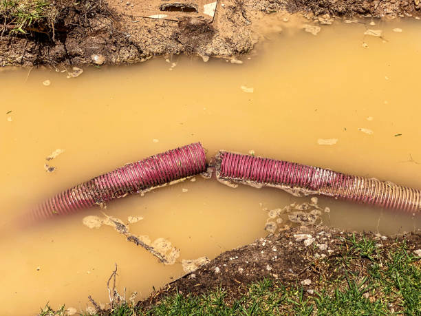 Best Flood damage cleanup  in Boerne, TX